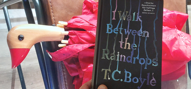T.C. Boyle: I Walk Between the Raindrops